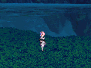 DNF2019五一宠物外观汇总展示 宠物技能GIF图片