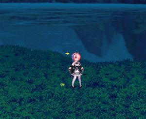 DNF2019五一宠物外观汇总展示 宠物技能GIF图片