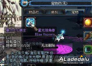 DNF宠物幻化宠物选择介绍 有了这些宠物吸睛无数