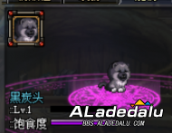 DNF宠物幻化宠物推荐汇总 这些宠物现阶段可以获取